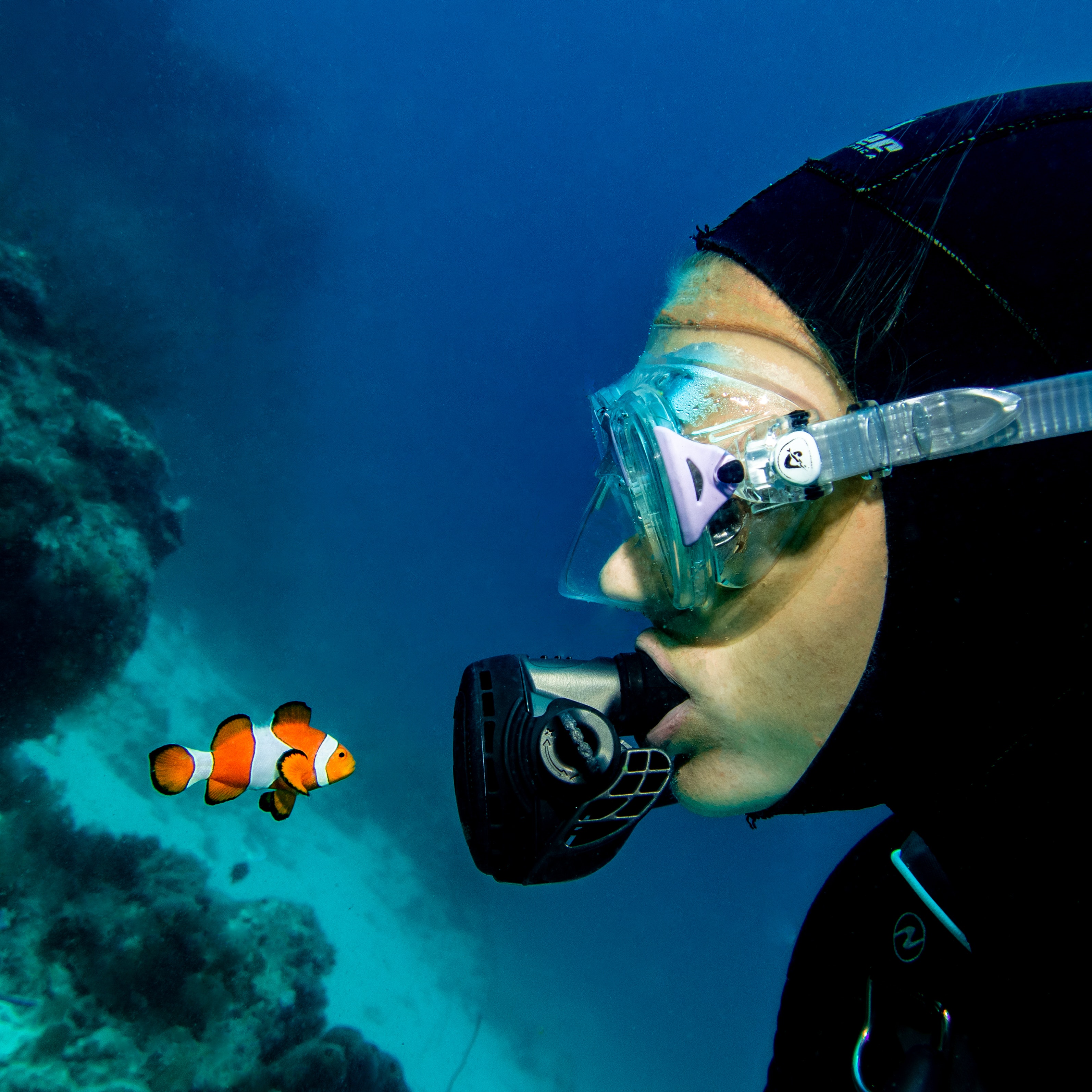 Scuba Diving with Clown Fish